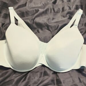 Seafoam Blue Women's Bra 44 D From Lane Bryant